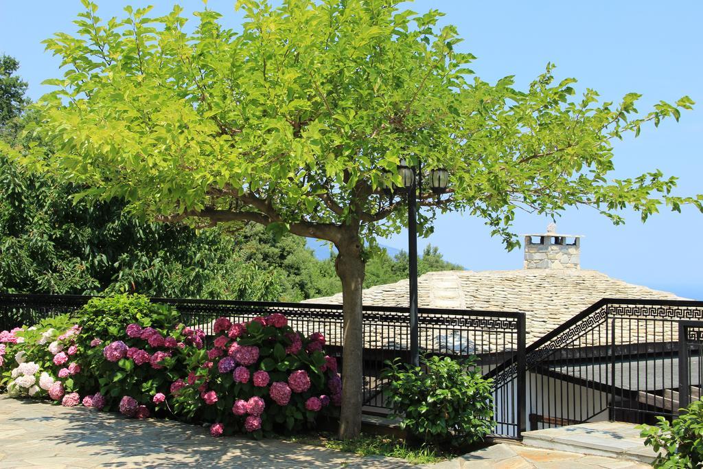 Hotel Aglaida Apartments Tsagarada Bagian luar foto