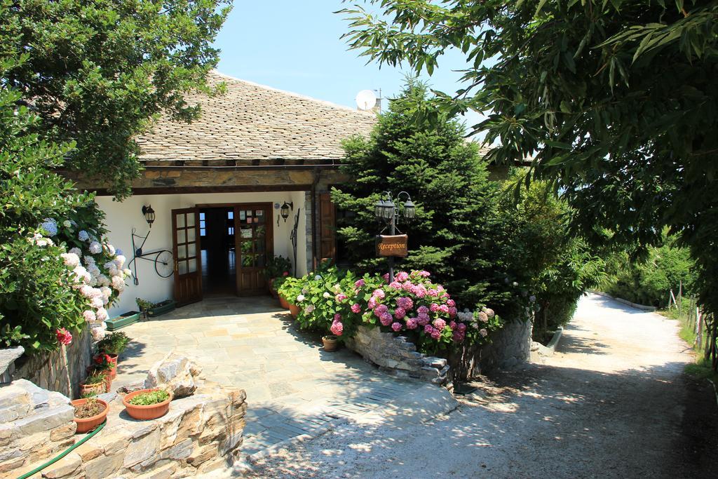 Hotel Aglaida Apartments Tsagarada Bagian luar foto
